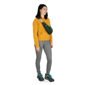 Osprey Daylite Waist 3