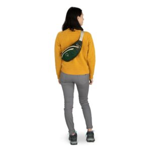 Osprey Daylite Waist 4