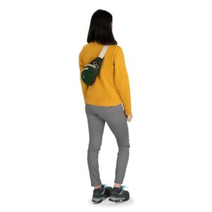 Osprey Daylite Waist 5